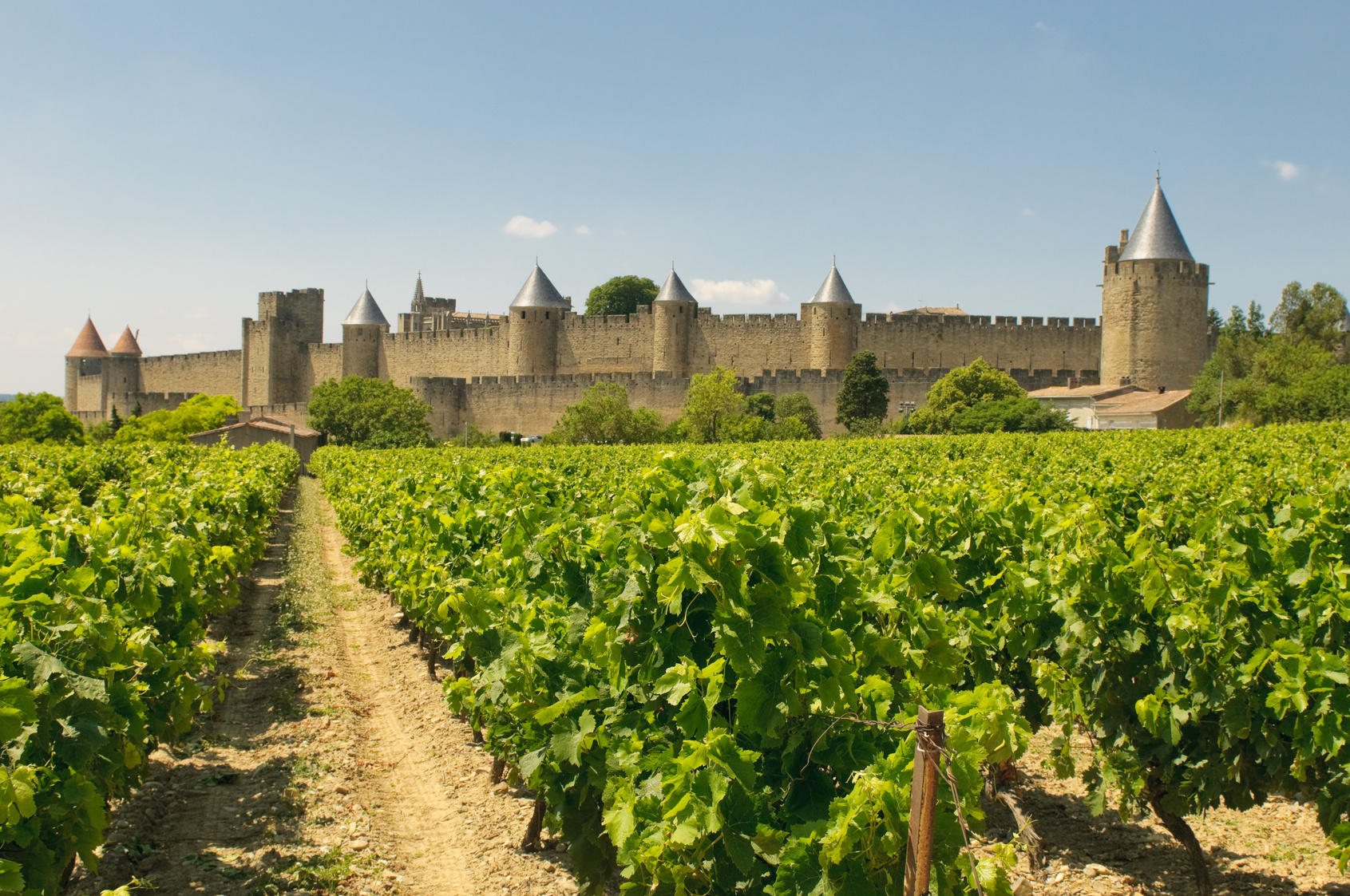 Carcassonne and vineyards