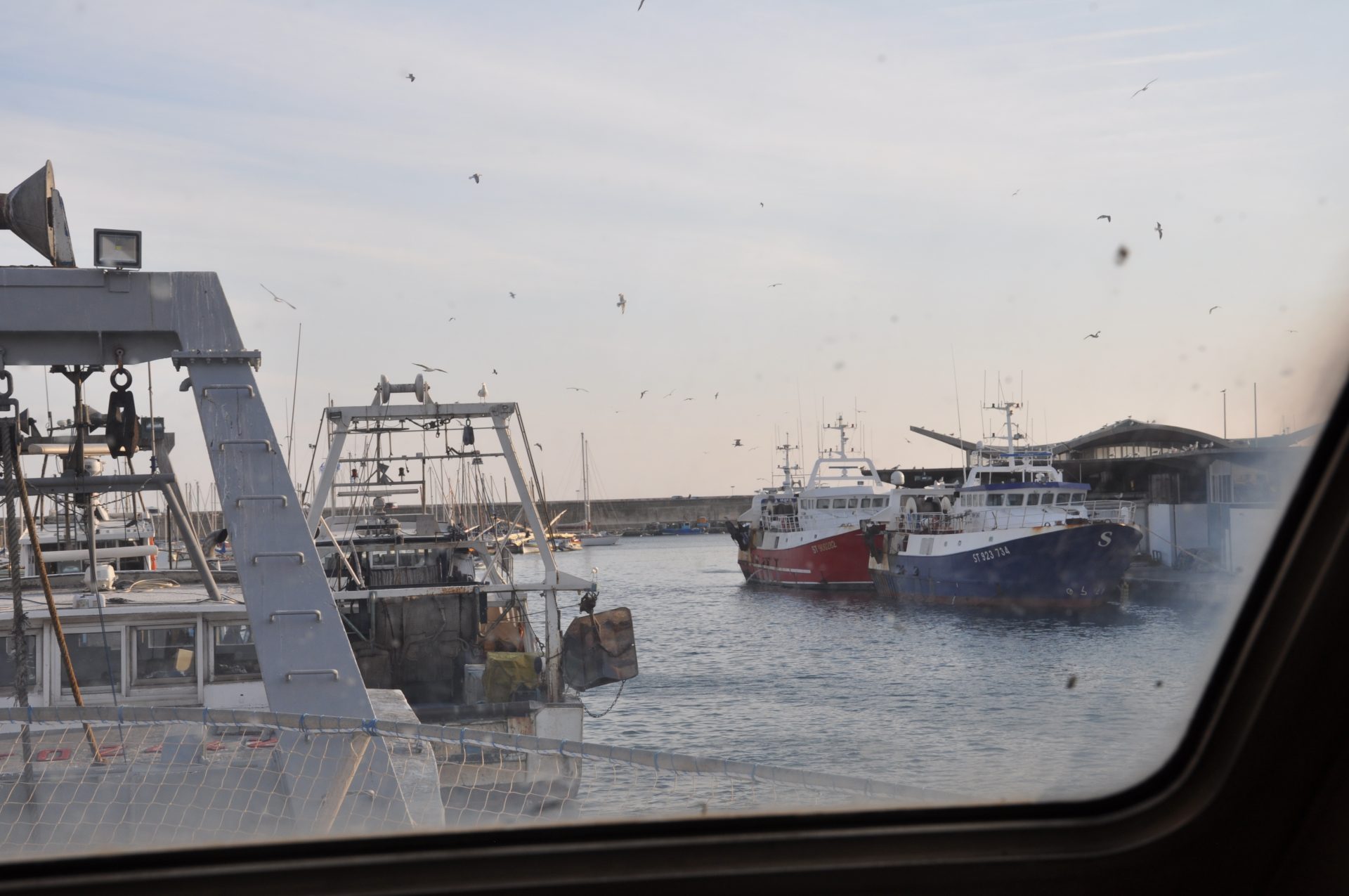 visite chalutier Louis Nocca Sète
