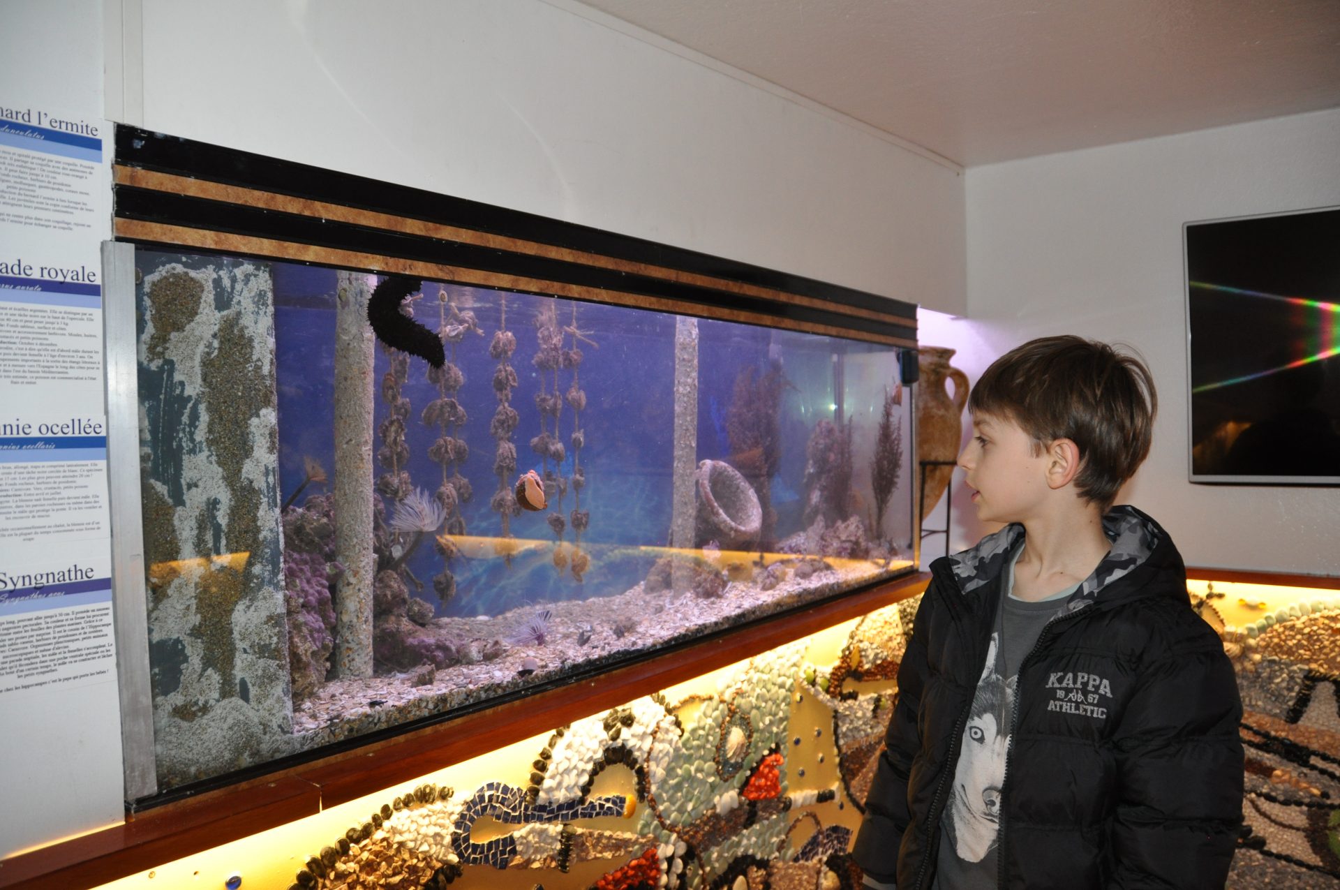 visite chalutier Louis Nocca Sète