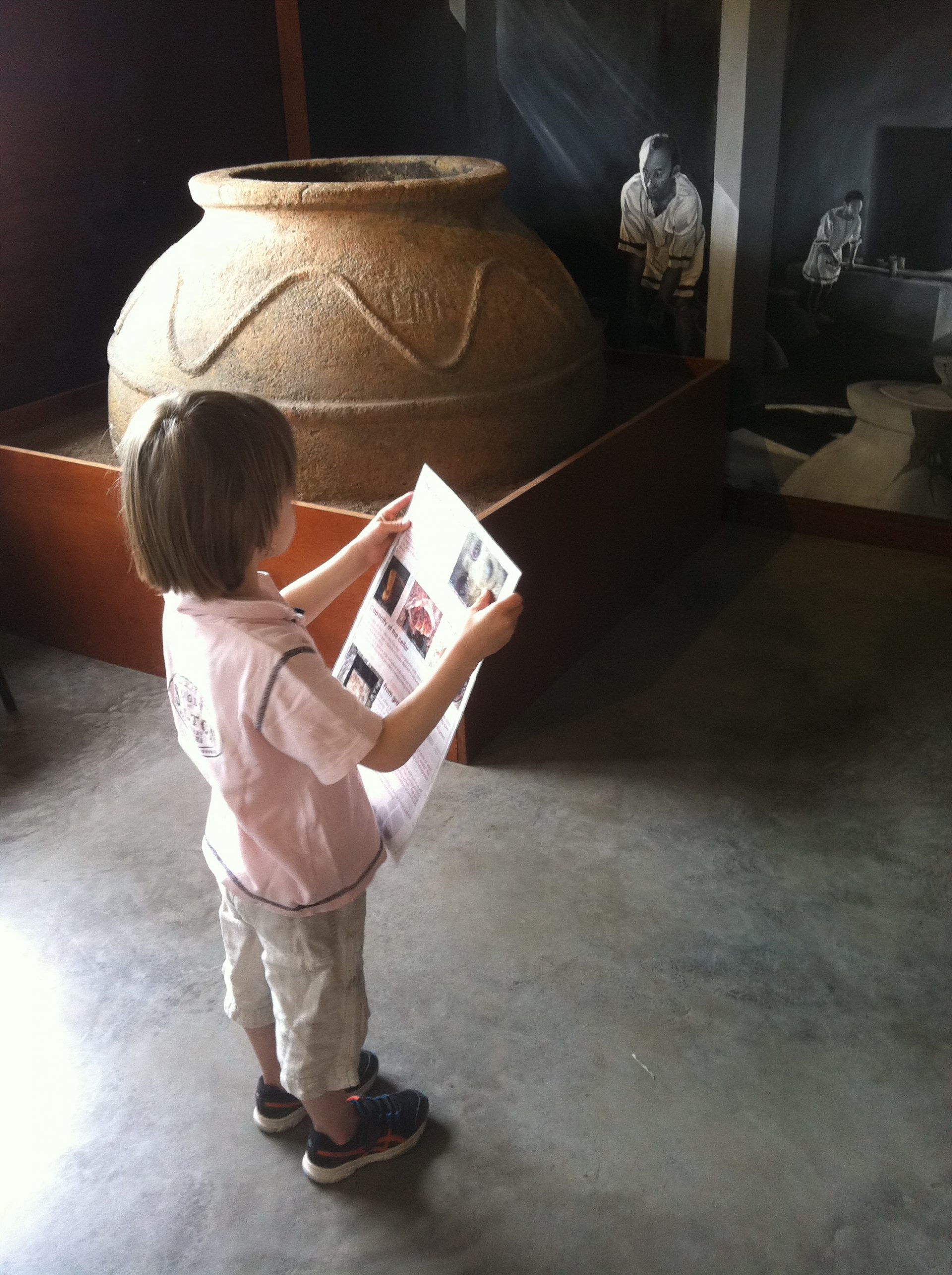 Villa Loupian : site gallo-romain et mosaïques uniques