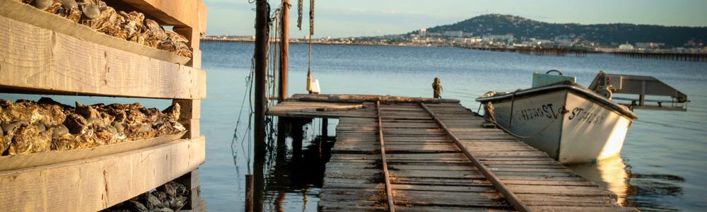 090120-1801-3-DEF1 090120-1801-3-DEF1