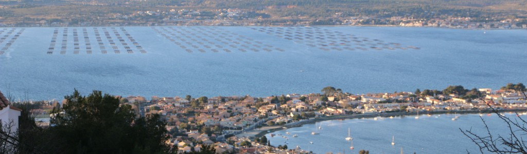 2014-02-22 17.40.03 2014-02-22 17.40.03