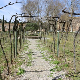 Valmagne-VuPasserelle Valmagne-VuPasserelle