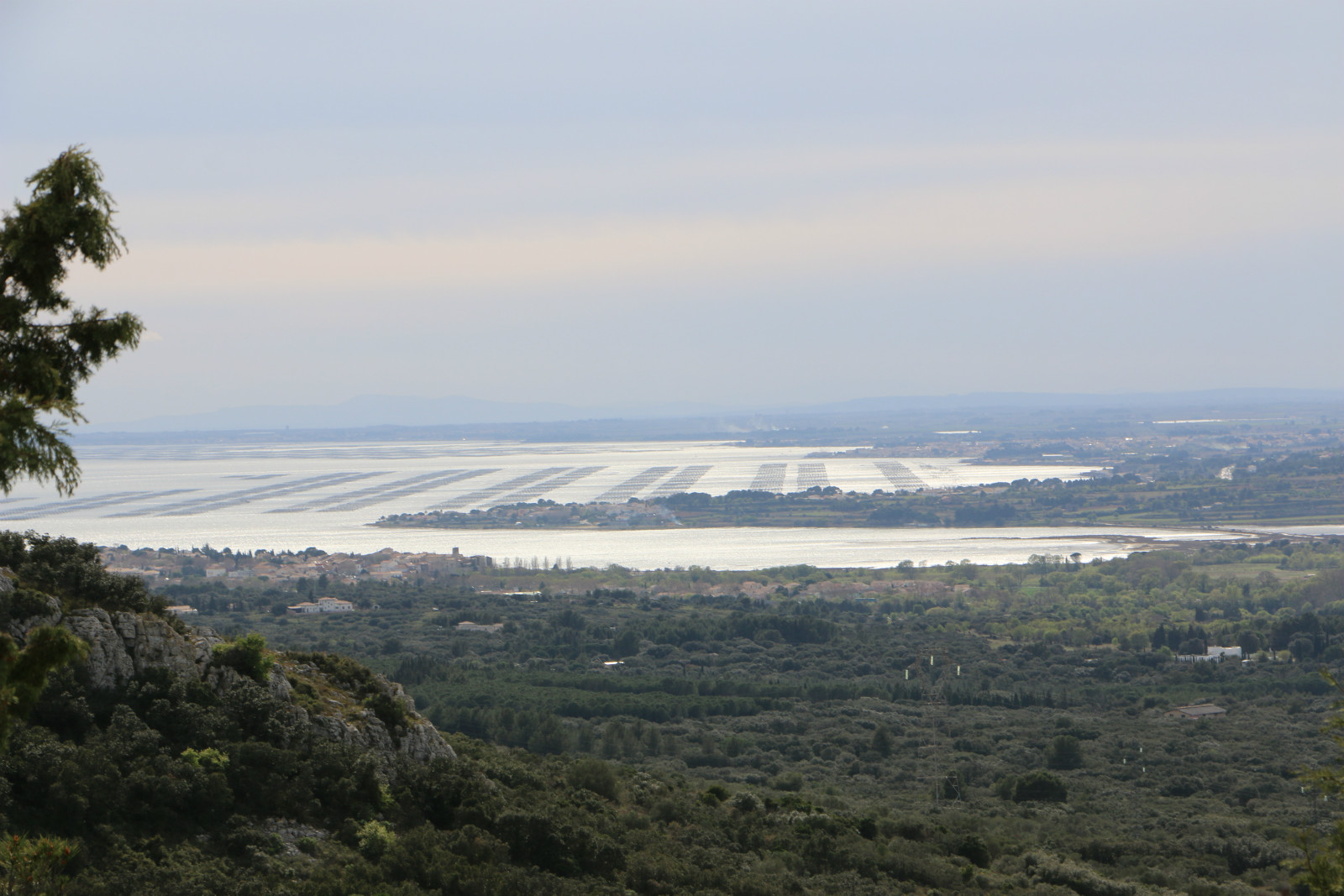 Excursions à la journée du 16 au 25 mai