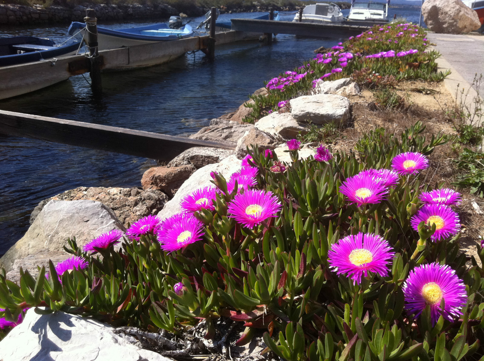 Pont Levis, Sète – Spring / Printemps 2014