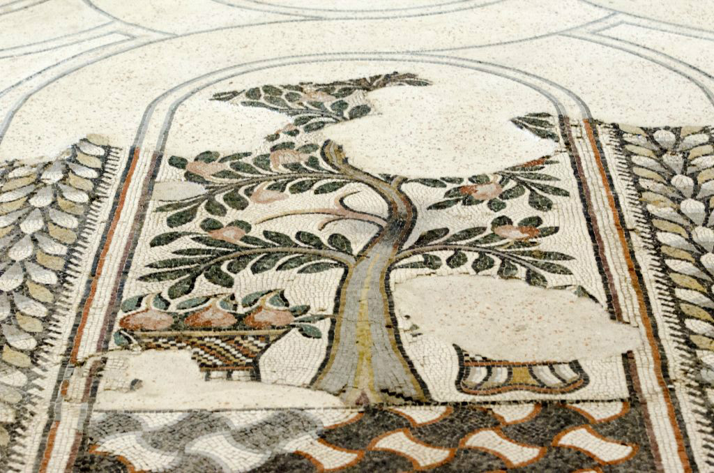 08 VILLA GALLO ROMAINE