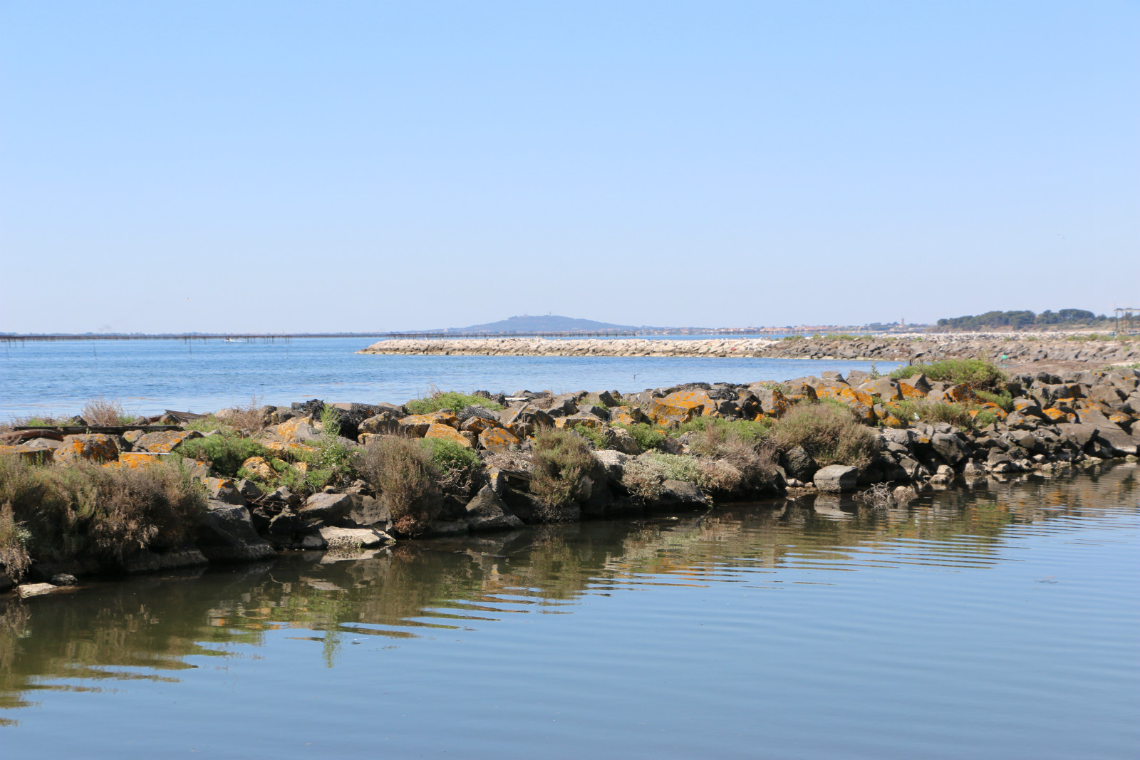 L’étang de Thau par « C’est pas sorcier »