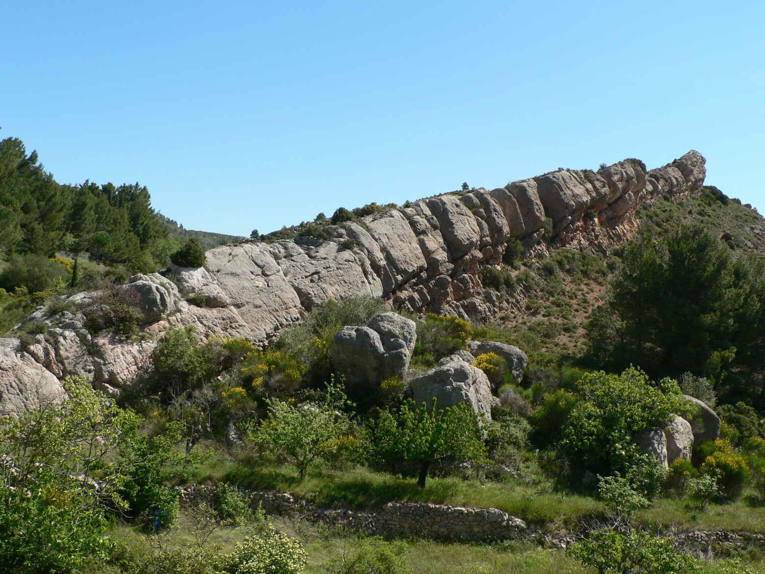 Excursions en Languedoc cette semaine