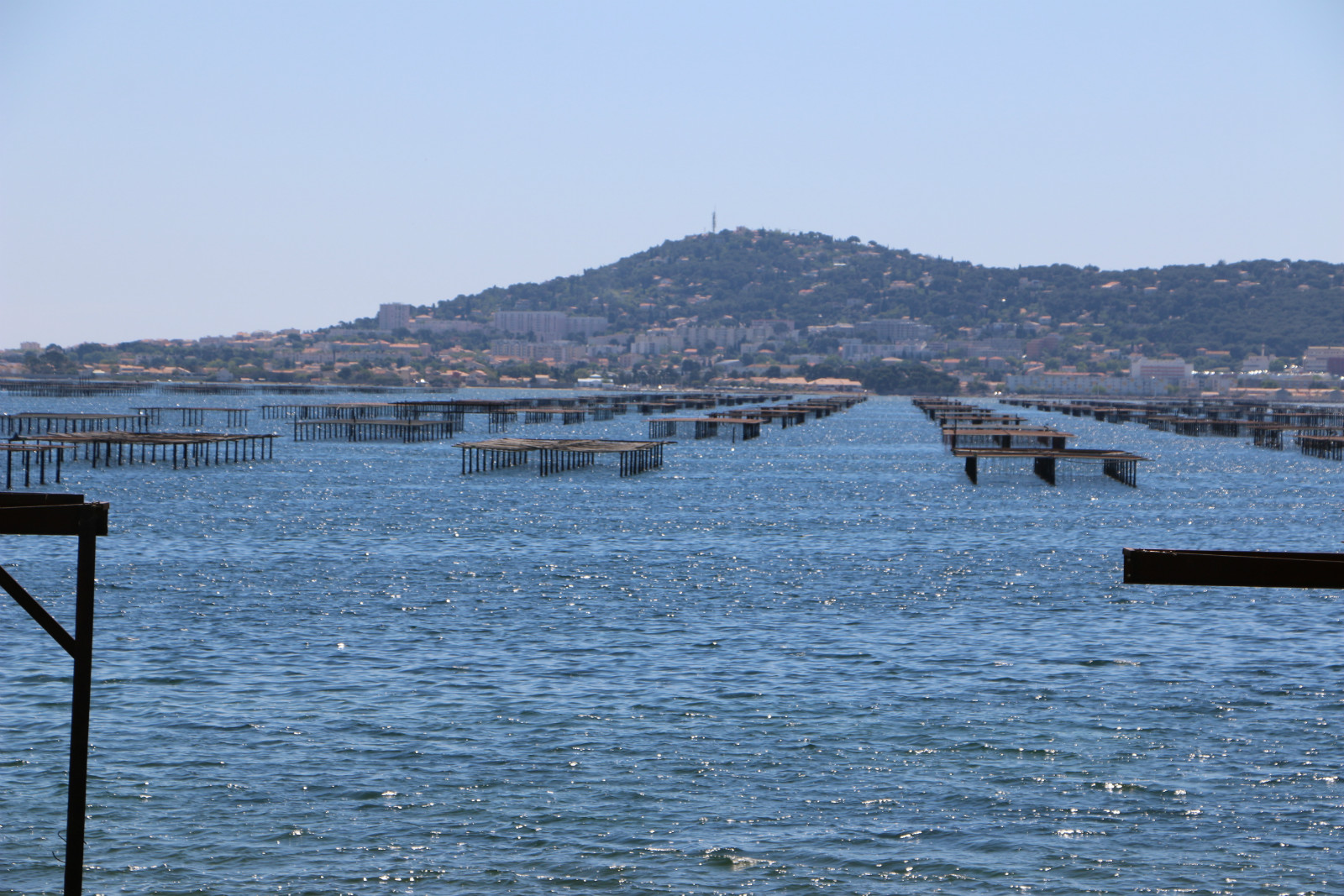 Thalassa : Sète en Méditerrannée sur France 3 – 03/10 – 20h45