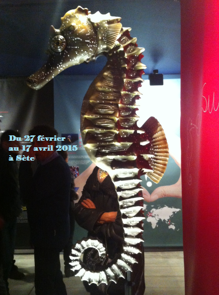 Exposition Hippocampe