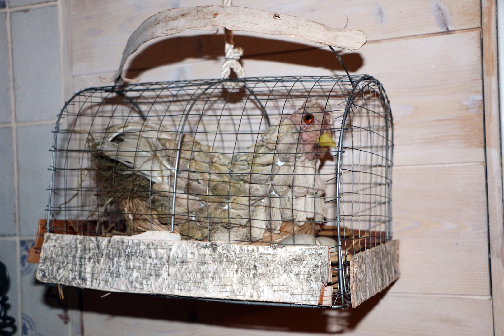 T3 quartier haut Pinet