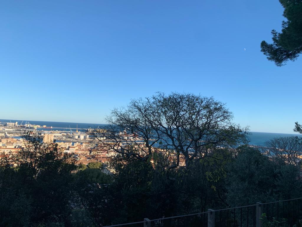 Cabane « Restanque »