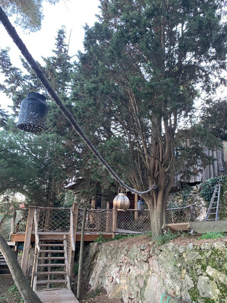 Cabane « Restanque »