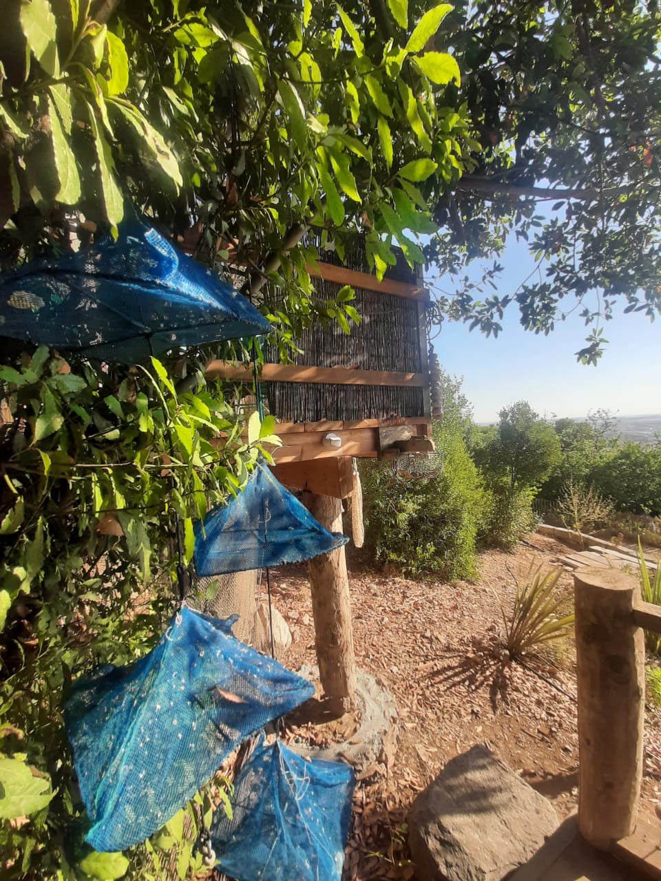 Cabane « Pêcheur »